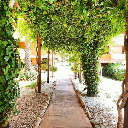 La Entrada Beach Club 托雷维耶哈 外观 照片