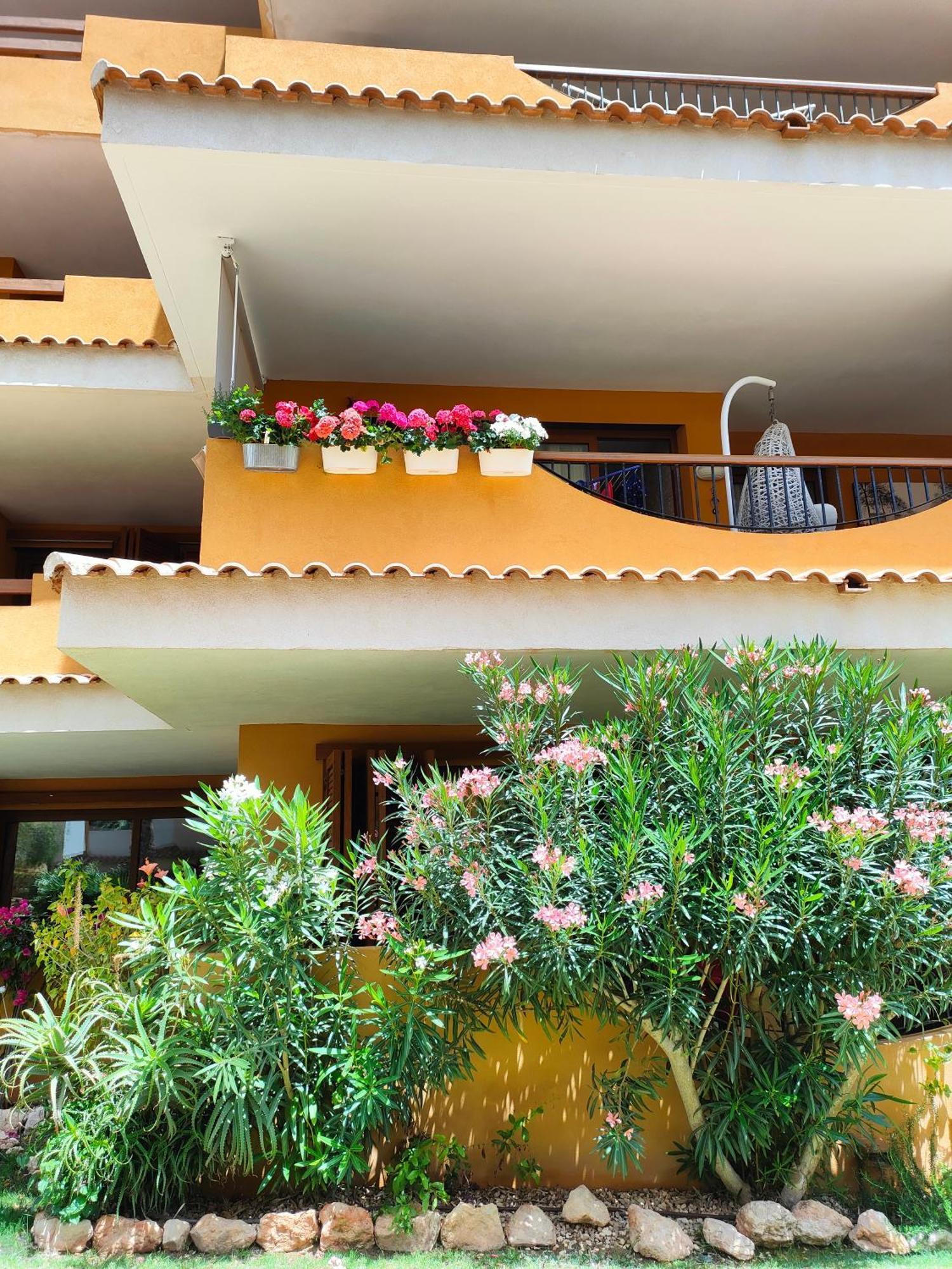 La Entrada Beach Club 托雷维耶哈 外观 照片