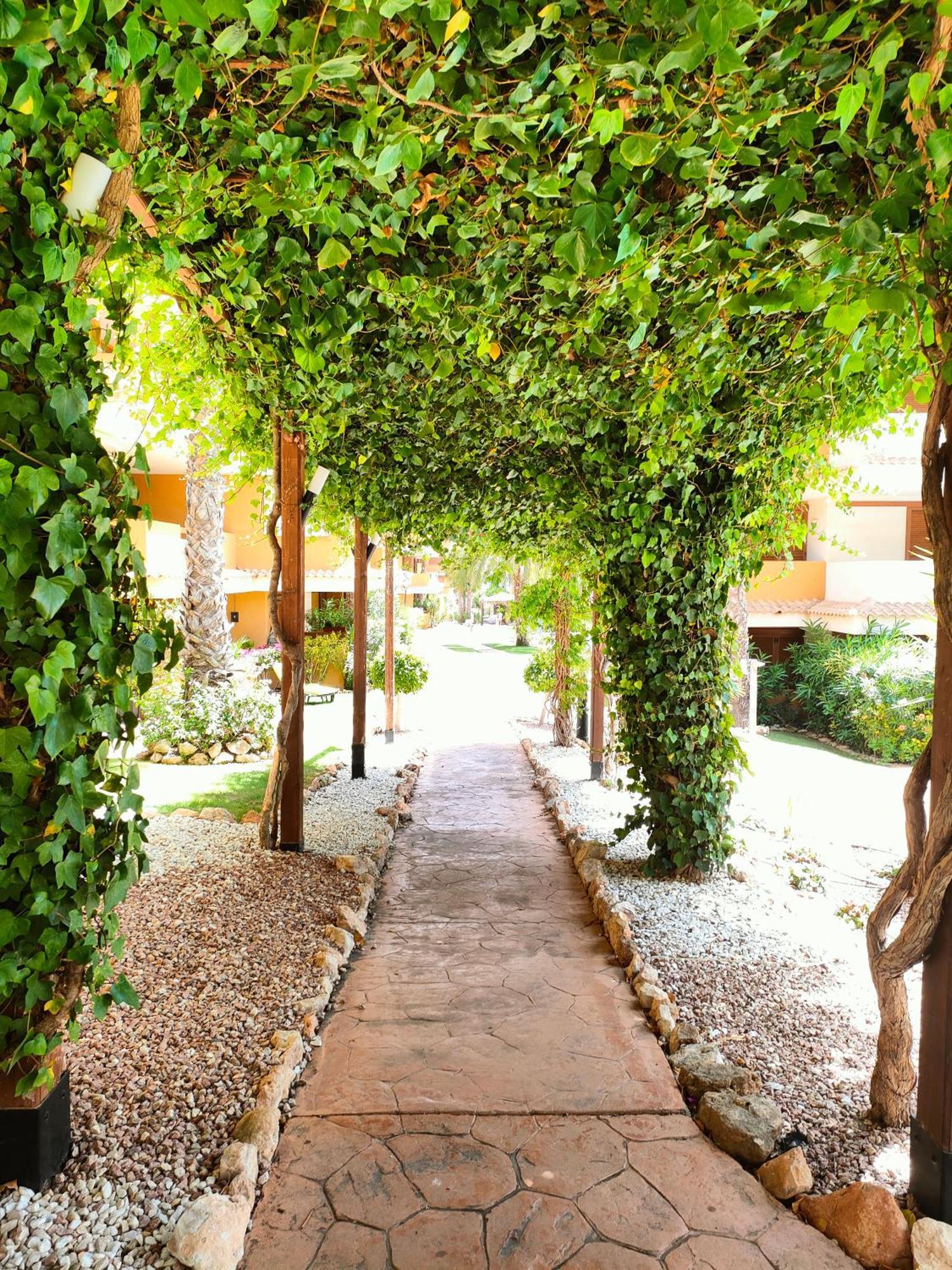 La Entrada Beach Club 托雷维耶哈 外观 照片
